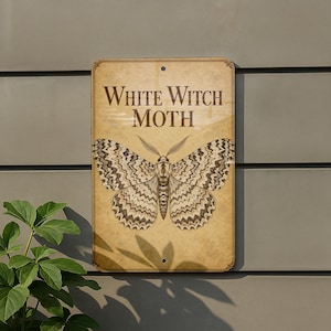 May include: A rectangular metal sign with a beige, aged-paper background featuring a detailed illustration of a moth with brown and black patterned wings. The text "WHITE WITCH MOTH" is printed in dark brown capital letters above the moth.