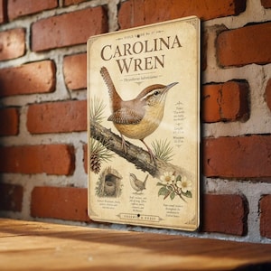 May include: A vintage-style metal sign featuring a Carolina Wren bird illustration. The sign includes the bird's name, scientific details, and additional illustrations of the bird and its habitat. The sign is mounted on a brick wall.