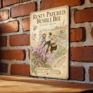 May include: A rectangular metal sign featuring a vintage-style illustration of a Rusty Patched Bumble Bee. The text reads Rusty Patched Bumble Bee, Bombus affinis, Monarda fistulosa, Native Social Pollinator, and Family Apidae with a wing detail.