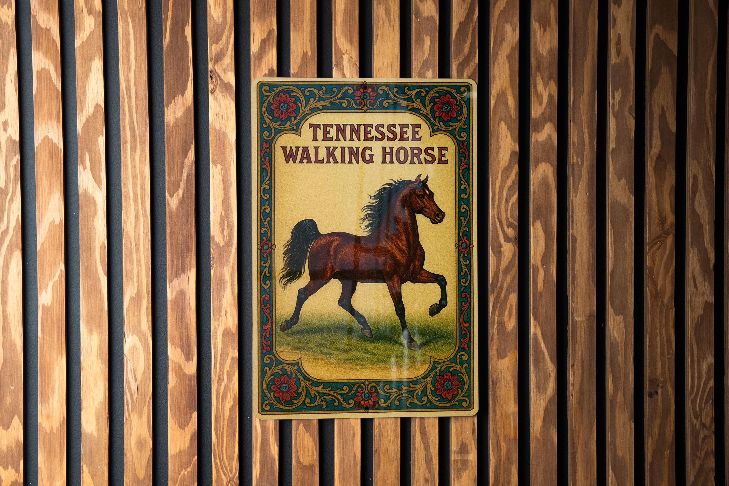 Adventures in Owning A Tennessee Walking Horse - 28 Gaited Horses For Sale