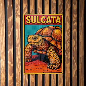 May include: A rectangular sign featuring a detailed illustration of a Sulcata tortoise. The sign has a yellow border, with the word "SULCATA" in red letters at the top. The tortoise is orange and yellow, set against a teal and orange background.