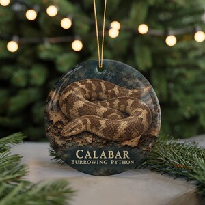May include: A round ceramic ornament featuring a coiled brown and tan Calabar burrowing python on a dark, textured background. The text CALABAR BURROWING PYTHON is printed in gold lettering at the bottom of the circular hanging decoration.