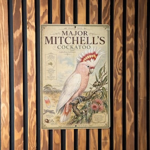 May include: A vintage-style sign featuring a Major Mitchell's Cockatoo illustration. The sign has a cream background with text and a detailed drawing of the bird perched on a branch with flowers. The sign is mounted on a wooden slatted wall.
