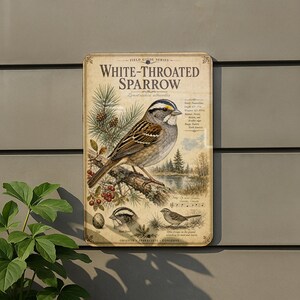 May include: A vintage-style metal sign featuring a detailed illustration of a White-Throated Sparrow. The sign includes the bird's name, scientific details, and a scenic background with a lake and trees. The sign is rectangular with a slightly distressed finish.