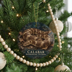 A round ornament on a Christmas tree featuring a Burrowing Python snake.