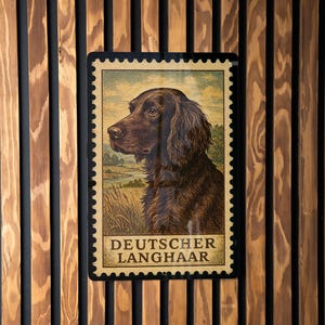 May include: A rectangular sign featuring a vintage-style illustration of a German Longhair dog. The dog is brown with long, wavy fur, set against a landscape background. The text "DEUTSCHER LANGHAAR" is displayed at the bottom.