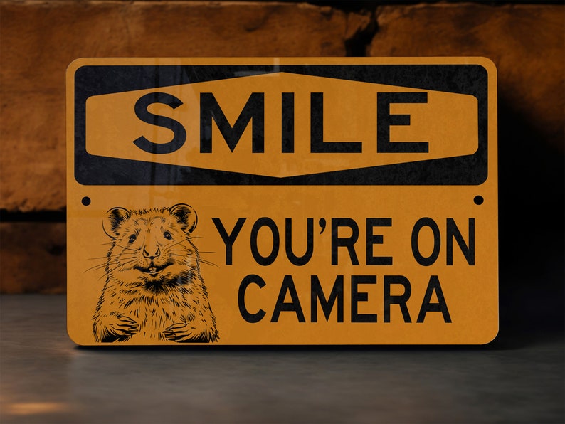 Smile You're on Camera Metal Sign, Security Alert, Outdoor Warning ...