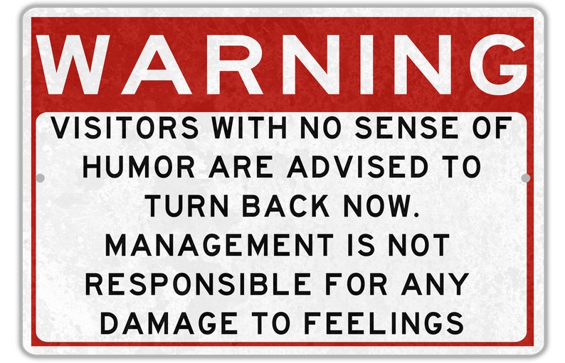 Metal Warning Sign, Not Responsible For Feelings, Sense Of Humor, Do Not Dumb, Funny Sarcastic Sign, Metal Garage Sign, Shop Sign, Dad Gift image 3