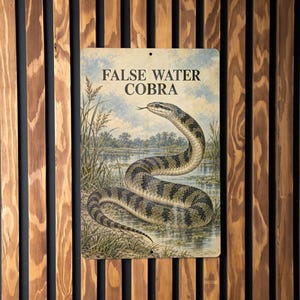 May include: A rectangular metal sign featuring a detailed illustration of a False Water Cobra snake in a marshy habitat. The text FALSE WATER COBRA is printed in black at the top. The snake has a patterned body with dark bands on a lighter background.