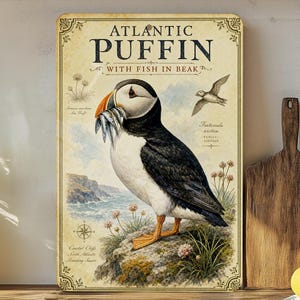 May include: Vintage-style sign featuring an Atlantic Puffin with fish in its beak. The sign has a cream-colored background with decorative borders and text. A flying bird and coastal landscape are also depicted.