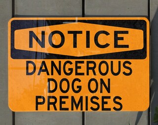 Cartello In Metallo 'Attenzione Al Cane' – Multilingua, 20x30 Cm, Per Esterni E Interni