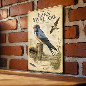May include: A vintage-style metal sign featuring a detailed illustration of a Barn Swallow bird. The sign includes the text "BARN SWALLOW" and additional text about the bird's characteristics, with a background of a brick wall.