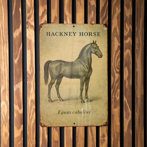May include: A vintage-style metal sign featuring a detailed illustration of a Hackney Horse. The sign, with the text "HACKNEY HORSE" at the top and "Equus caballus" at the bottom, is mounted on a wooden slat wall. The horse is depicted in a side profile.