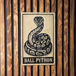 May include: A rectangular sign featuring a black and white illustration of a ball python. The sign is mounted on a wooden wall with vertical planks. The words "BALL PYTHON" are printed in a black, bold font at the bottom of the sign.