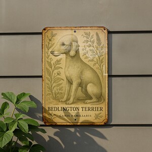 a sign on the side of a building that says bedlington terrier