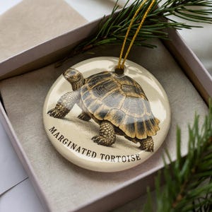 May include: A round, cream-colored ceramic ornament featuring a detailed illustration of a brown and tan margined tortoise. The text MARGINATED TORTOISE is printed in black along the bottom edge. A gold string is attached for hanging.