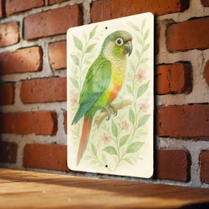 Watercolor Green-Cheeked Conure Metal Sign – Botanical Parrot Wall Art, Tropical Bird Home Decor, Nature-Inspired Gift