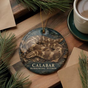 A decorative ornament featuring a Burrowing Python snake is displayed on a wooden surface, surrounded by pine branches and a cup of coffee.