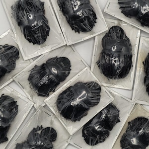 Könnte beinhalten: Mehrere schwarze, insektenförmige Objekte sind einzeln in durchsichtigem Kunststoff verpackt. Die Objekte haben ein strukturiertes, segmentiertes Aussehen und sind auf einer weißen Oberfläche angeordnet. Die Verpackung ist mit Heftklammern befestigt.