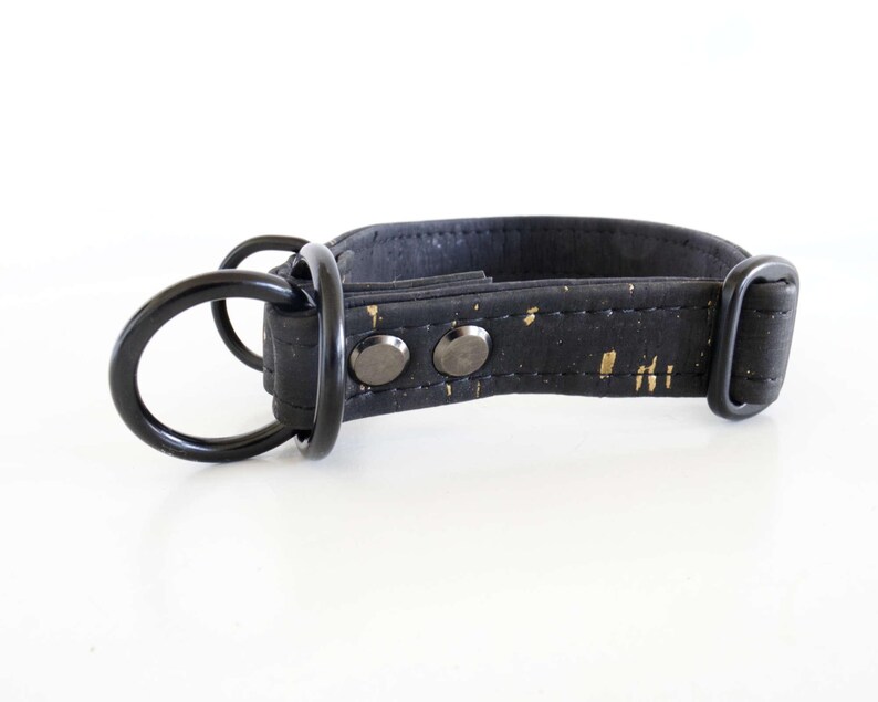 May include: A black dog collar with gold flecks and black hardware. The collar features a D-ring for leash attachment and two metal studs. The hardware includes a buckle and a D-ring, all in black.