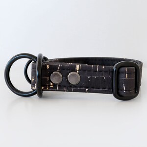 May include: Black dog collar with gold accents. The collar features a black metal D-ring and buckle. The collar is made of a textured black material with gold flecks and two silver-colored rivets.