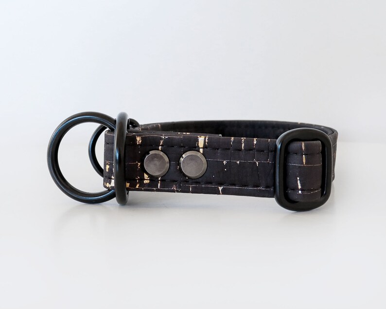 May include: Black dog collar with gold accents. The collar features a black metal D-ring and buckle. The collar is made of a textured black material with gold flecks and two silver-colored rivets.