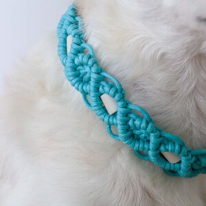 May include: A turquoise macrame dog collar with a woven design and white accents. The collar is made of thick, braided cord and features a series of knots and loops. The collar is designed to fit around a dog's neck.