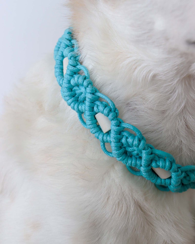 May include: A turquoise macrame dog collar with a woven design and white accents. The collar is made of thick, braided cord and features a series of knots and loops. The collar is designed to fit around a dog's neck.