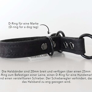 May include: A black dog collar with a D-ring for a dog tag and a large O-ring. The collar is made of a textured material and has metal hardware. The text on the collar says "D-Ring for a dog tag".