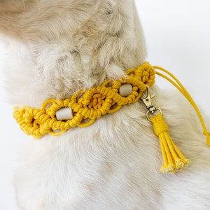 May include: A yellow macrame dog collar with a matching leash. The collar features a woven design with light-colored wooden beads and a metal clasp. The leash has a tassel at the end. The collar is shown on a dog.