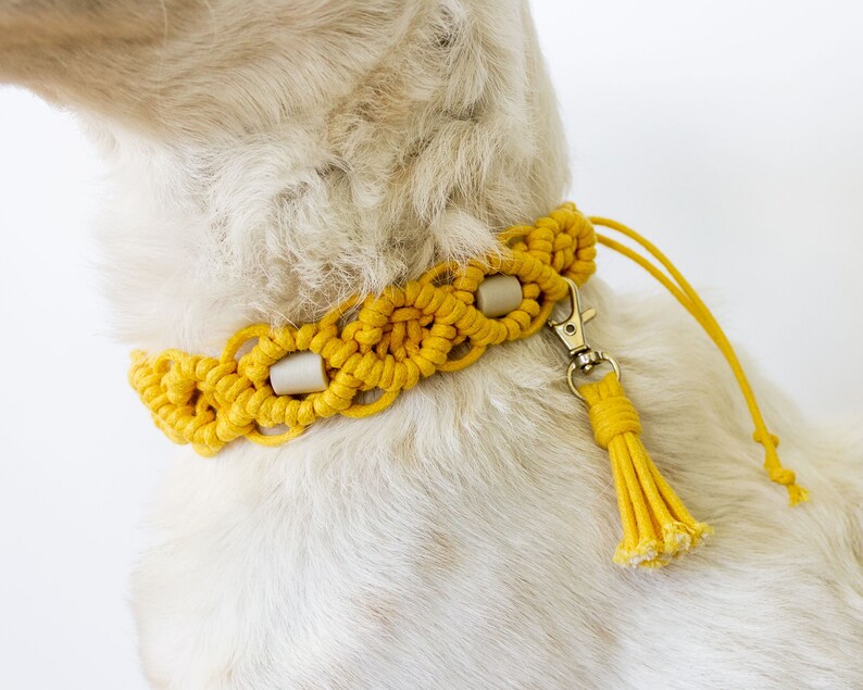 May include: A yellow macrame dog collar with a matching leash. The collar features a woven design with light-colored wooden beads and a metal clasp. The leash has a tassel at the end. The collar is shown on a dog.