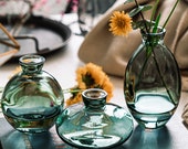 Small Glass Vase 3Pcs Set Plant Propagation Nordic Style Flower Pot Transparent Creative Vase Desktop Decoration Gifts Ornament