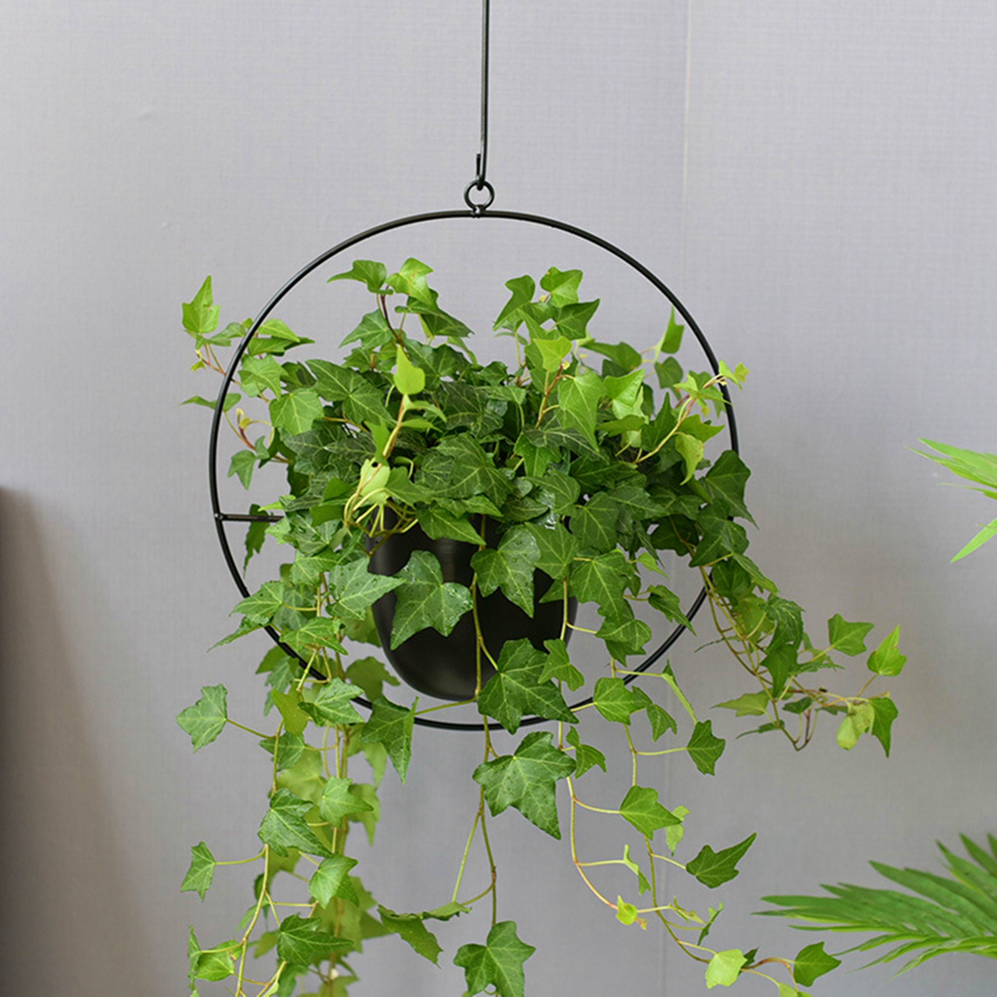 17+ Metal Hanging Planter
