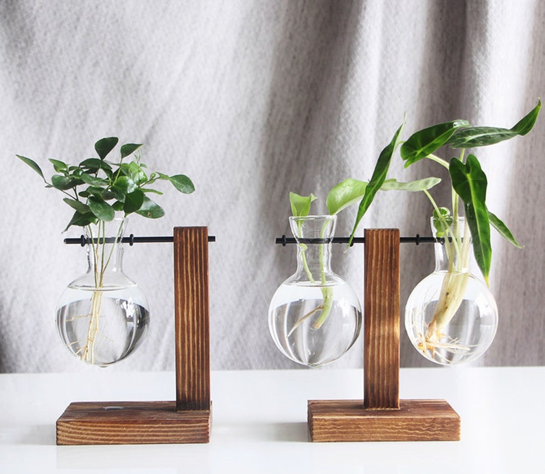 Glass Propagation Vase Planter With Wood Stand Transparent Etsy