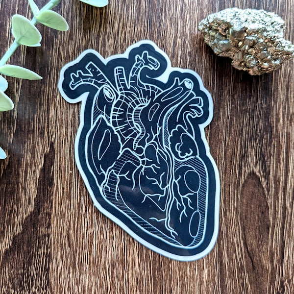 Black Anatomical Heart Sticker, Black and White Illustrated Sticker, Waterproof Vinyl Decal, Gothic Sticker, Dark Ink Illustration Sticker