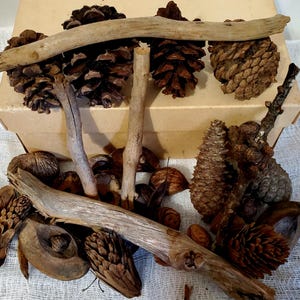 Natural Potpourri Bowl Vase Filler Pine Cones, Nuts, Sticks, Acorns, Lichen, Pod