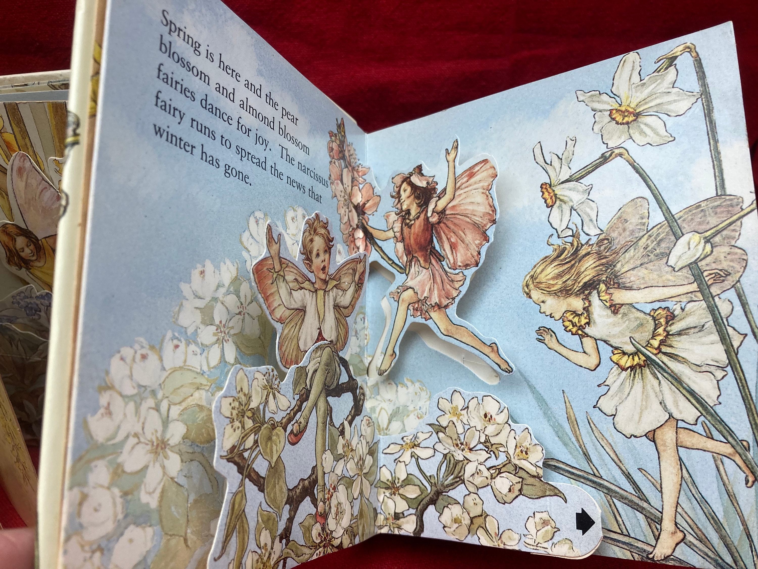 Flower Fairy Pop-up Theater：シシリーメアリーバーカー Flower Fairies Pop-Up Theater Book - Cicely Mary Barker