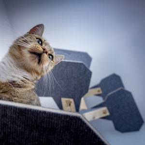 Drapak dla kota ScratchMeCat, Drzewo dla kotów inspirowane naturą. Wysoki, funkcjonalny i solidny czarny drapak zdjęcie 5