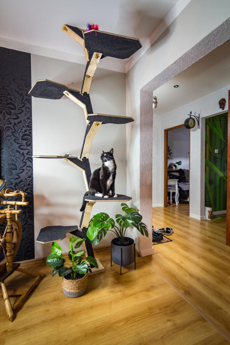 Drapak dla kota ScratchMeCat, Drzewo dla kotów inspirowane naturą. Wysoki, funkcjonalny i solidny czarny drapak zdjęcie 8