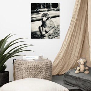 MONKEY TEMPLE PRINT
