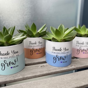 End of School Year Teacher's Gift, Teacher Gift Plant, Succulent, End of Year Gift for Teacher, Thank You Gift for Teacher, Coach, Mentor