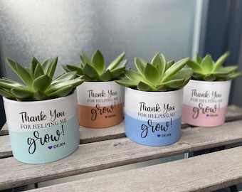 End of School Year Teacher's Gift, Teacher Gift Plant, Succulent, End of Year Gift for Teacher, Thank You Gift for Teacher, Coach, Mentor