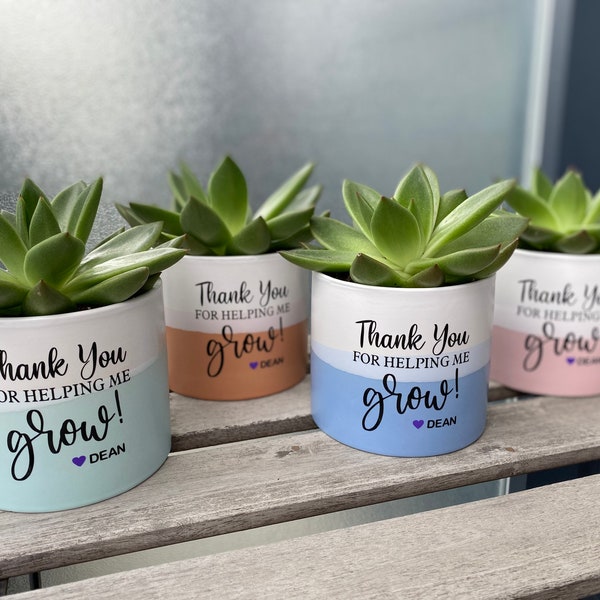 End of School Year Teacher's Gift, Teacher Gift Plant, Succulent, End of Year Gift for Teacher, Thank You Gift for Teacher, Coach, Mentor