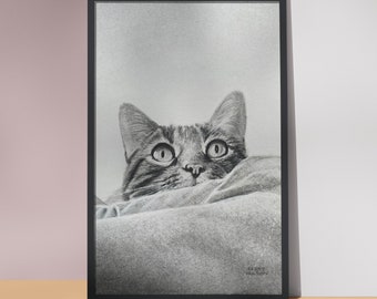 May include: A black and white pencil drawing of a cat peeking over a blanket. The drawing is framed in a black frame and signed "BERT WILSON".