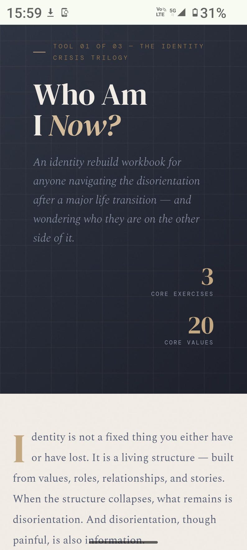 May include: A digital workbook titled Who Am I Now? featuring a dark blue grid background with white text. It includes the subtitle An identity rebuild workbook for anyone navigating the disorientation after a major life transition, 3 core exercises, and 20 core values.