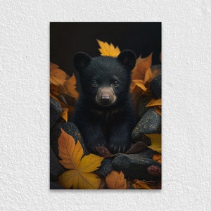 Puede incluir: Un osezno negro sentado entre rocas y hojas de oto&ntilde;o. El cachorro tiene pelaje oscuro y una expresi&oacute;n curiosa. Las hojas son de varios tonos de amarillo y naranja, creando una escena c&aacute;lida y natural.