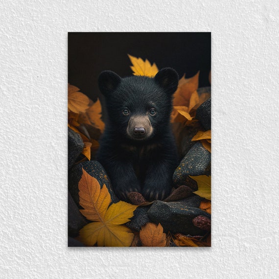 Bear Cub Portrait Photo, Wall Art Print, Nature Poster, Wildlife Photography