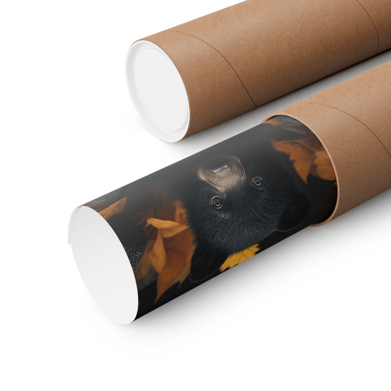 Foto de retrato de cachorro de oso, impresión de arte de pared, cartel de naturaleza, fotografía de vida silvestre imagen 4
