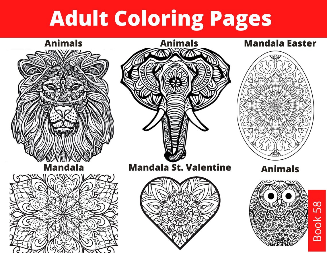 Adult Coloring Pages Printable Mandala Coloring Book Mandala - Etsy