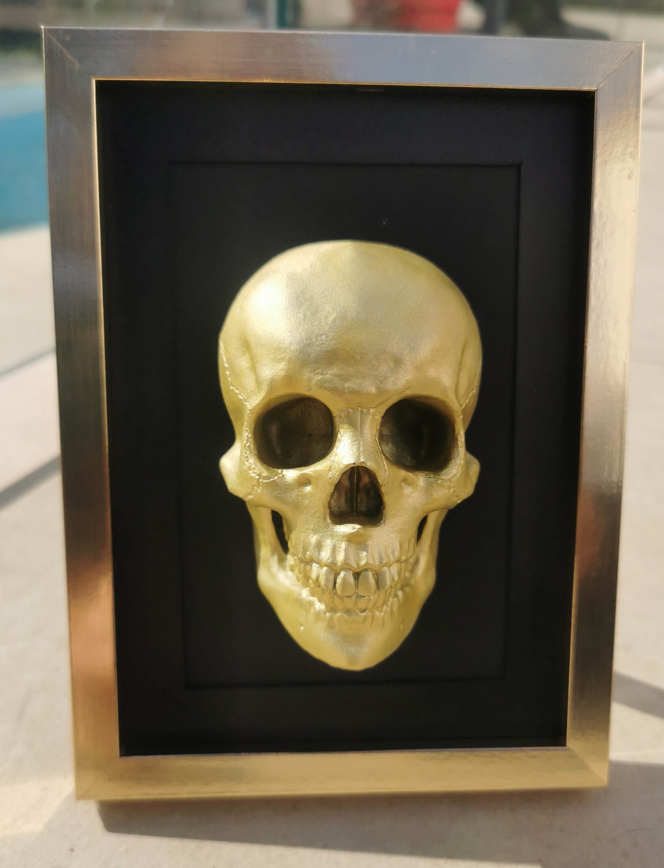 Cadre de Décoration Crane